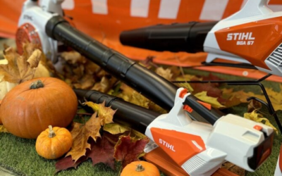 how to choose a leaf blower